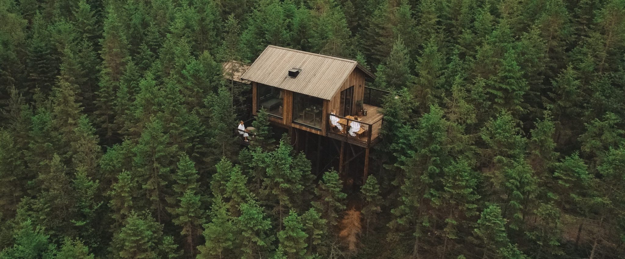 Hyssna Forest Resort