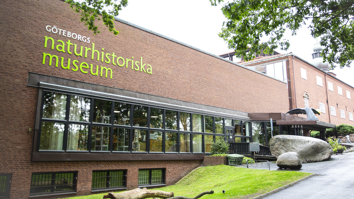 Göteborgs naturhistoriska museum